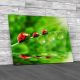 Ladybugs Family On Grass Canvas Print Large Picture Wall Art