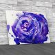 Water Paint Rose Flower Canvas Print Large Picture Wall Art