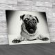 Gorgeous Pug Dog Photo Canvas Print Large Picture Wall Art