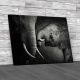Baby Elephant and Parent Canvas Print Large Picture Wall Art