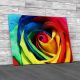 Floral Rare Rose Flower 1 Canvas Print Large Picture Wall Art