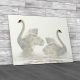Swimming Swans on Water Canvas Print Large Picture Wall Art