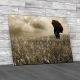 Watch Lightning In Field Canvas Print Large Picture Wall Art