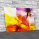 Colourful Viola Flowers Canvas Print Large Picture Wall Art