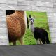 Alpaca Baby With His Mother Canvas Print Large Picture Wall Art