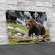 Grizzly Bear In Yellowstone National Park Canvas Print Large Picture Wall Art