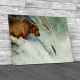 Grizzly Catching Salmon Canvas Print Large Picture Wall Art