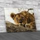 Lioness Resting On Rock Canvas Print Large Picture Wall Art