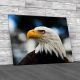 Bald Headed Eagle Canvas Print Large Picture Wall Art