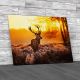 Red Deer In Morning Sun Canvas Print Large Picture Wall Art