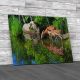 Water Reflections Of Two Baby Deer Canvas Print Large Picture Wall Art