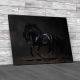 Galloping Black Horse Canvas Print Large Picture Wall Art