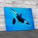 Friendly Killer Whale Canvas Print Large Picture Wall Art