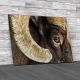 Bighorn Ram Canvas Print Large Picture Wall Art