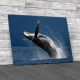 Jumping Humpback Whale Canvas Print Large Picture Wall Art