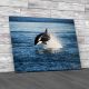 Killer Whale Canvas Print Large Picture Wall Art