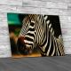 Zebra Canvas Print Large Picture Wall Art