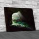 Entrance To The Cave Canvas Print Large Picture Wall Art