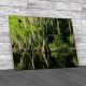 Cypress Trees And Swamp Florida Canvas Print Large Picture Wall Art