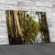 Trees In The Everglades Florida Canvas Print Large Picture Wall Art