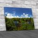 Everglades National Park Panoramic Landscape Canvas Print Large Picture Wall Art