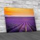 Lavender Field At Sunset Provence Canvas Print Large Picture Wall Art