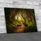 Craggy Gardens North Carolina Canvas Print Large Picture Wall Art