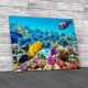 Corals And Fishes Canvas Print Large Picture Wall Art