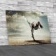 Karate Girl Kick Canvas Print Large Picture Wall Art