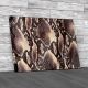 Brown Snake Skin Canvas Print Large Picture Wall Art