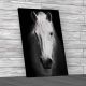 Lovely Horse Staring Canvas Print Large Picture Wall Art