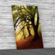 Lovely Painted Woodlands Canvas Print Large Picture Wall Art