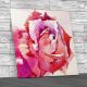 Floral Rose Petal Flower Square Canvas Print Large Picture Wall Art