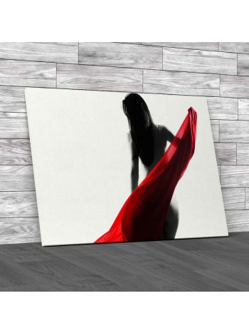 Nude With Flowing Cloth Canvas Print Large Picture Wall Art