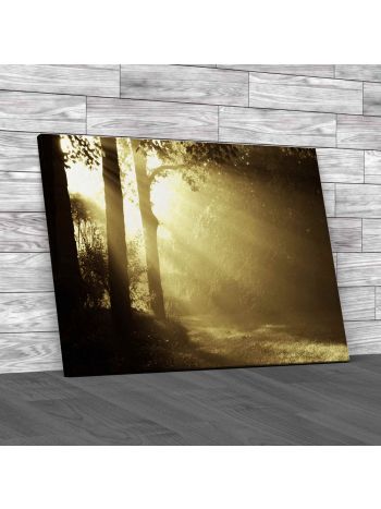 Heavenly Light In Tress Canvas Print Large Picture Wall Art