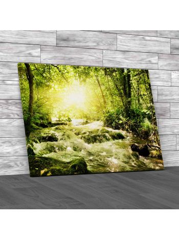 Small River Running Free Canvas Print Large Picture Wall Art
