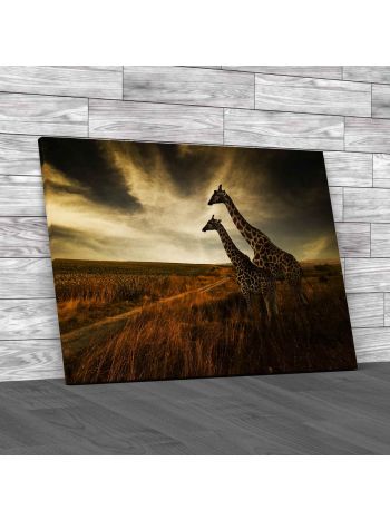 Giraffes on Their Trek Canvas Print Large Picture Wall Art