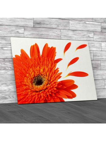 Flower and Flying Leaves Canvas Print Large Picture Wall Art