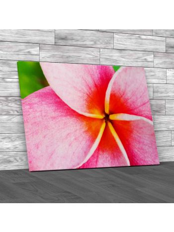 Flower Floral Tropical Canvas Print Large Picture Wall Art