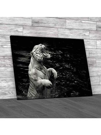 Roaring Tiger in Water Canvas Print Large Picture Wall Art