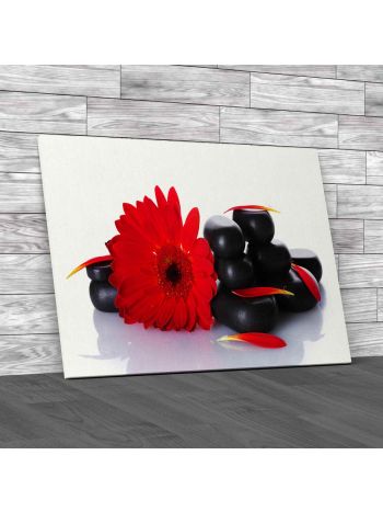 Floral Flowers Stones Canvas Print Large Picture Wall Art