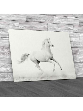 Running Stallion Horse Canvas Print Large Picture Wall Art