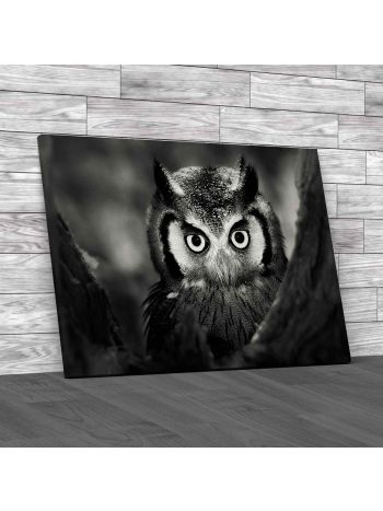 Stunning Staring Owl Canvas Print Large Picture Wall Art