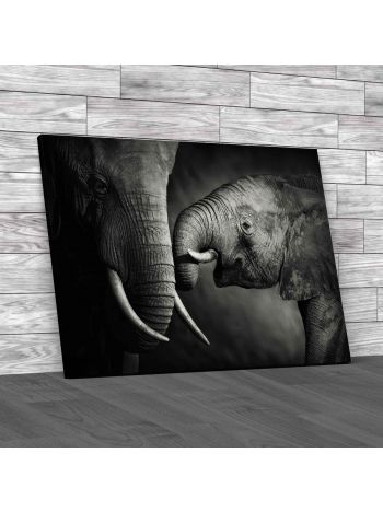 Baby Elephant and Parent Canvas Print Large Picture Wall Art