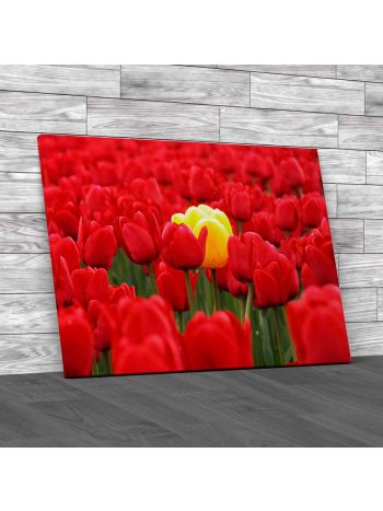 Lone Tulip Floral Flower Canvas Print Large Picture Wall Art