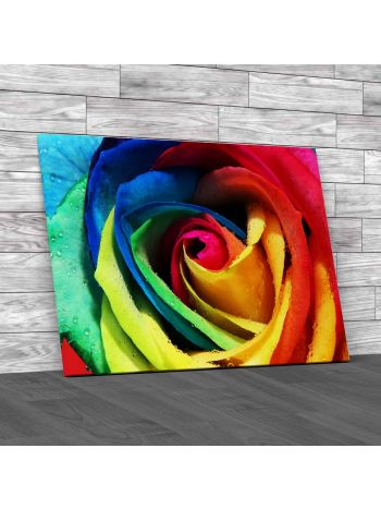 Floral Rare Rose Flower 1 Canvas Print Large Picture Wall Art