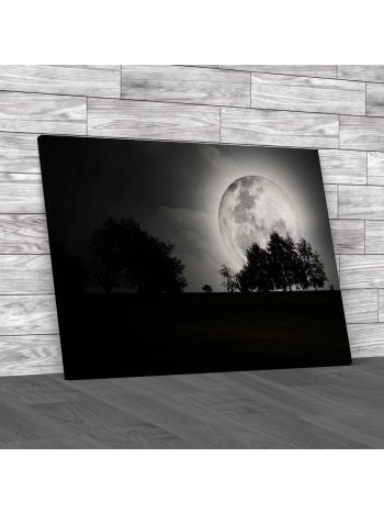 Large Moon Landscape Canvas Print Large Picture Wall Art