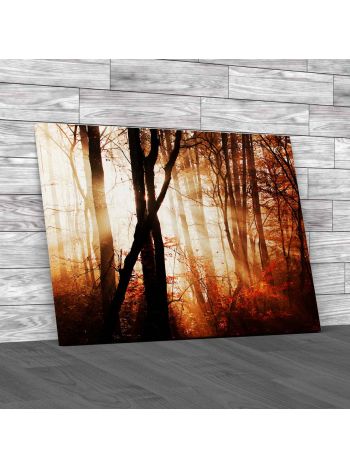 Shining Through Trees Canvas Print Large Picture Wall Art