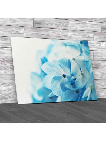 Floral Light Flowers Canvas Print Large Picture Wall Art