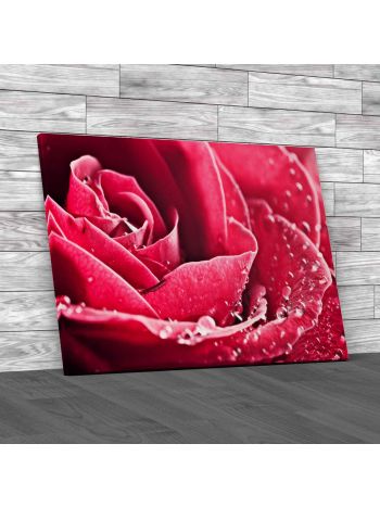 Rose Petals Water Drops Canvas Print Large Picture Wall Art